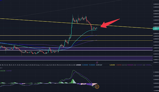 Reasons behind the decrease in Dogecoin and Shiba Inu Coin prices today