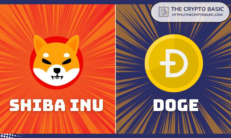 Meme Coin Champion Murad predicts the next Dogecoin and Shiba Inu frenzy