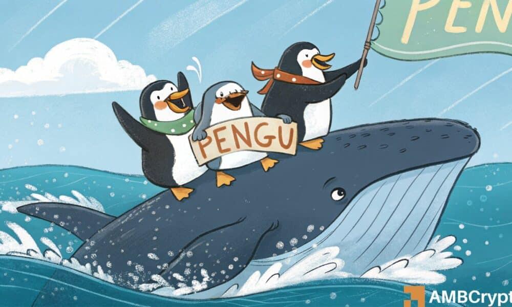 How PENGU鲸鱼\