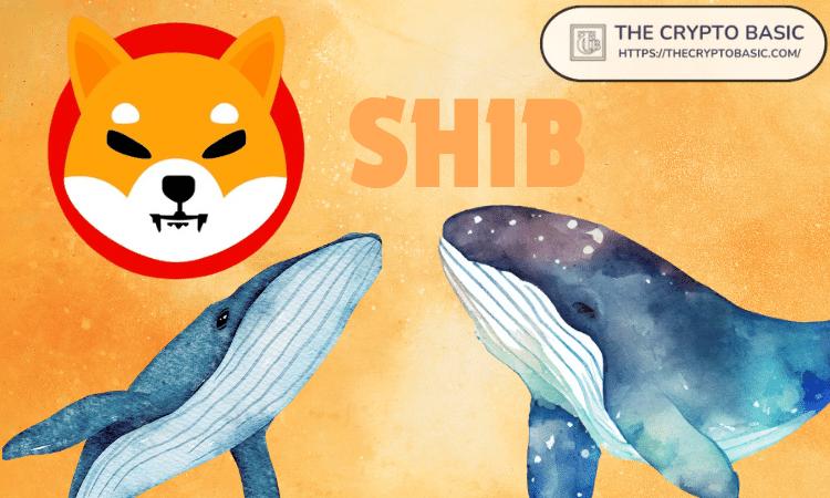 3274000000000 Shiba Inu搬离未知钱包：发生了什么变化？